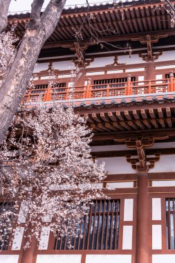 Qing uzun Tapınağı, xi an, Çin geleneksel Çince çatılı kiraz çiçeği.