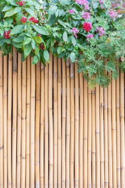 Bambudan yapılmış çitler.  