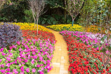 path leading through a flower garden