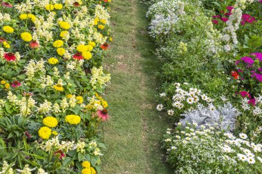 path leading through a flower garden