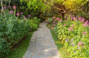 path leading through a flower garden