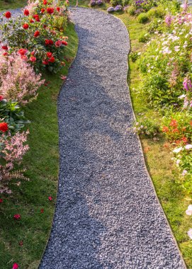 Çiçek bahçesinin içinden geçen yol. Delphinium yüksek infloresans mor çiçeklerle..