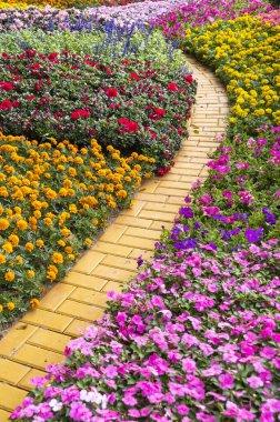path leading through a flower garden