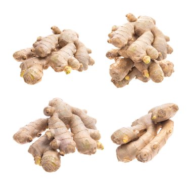 Beyaz arkaplanda izole edilmiş zencefil kökü koleksiyonu