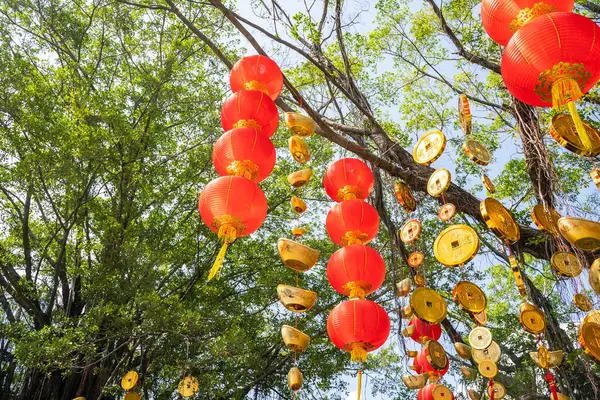 Red lanterns hanging on trees in China for the Chinese new year celebrations.Chinese text translation for the:good bless for money