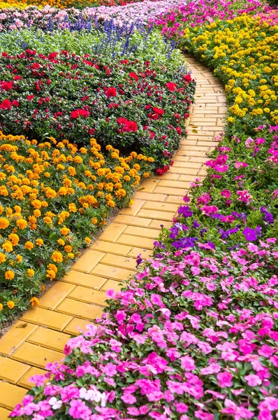 path leading through a flower garden