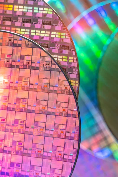 Elektronikte entegre devrelerin üretimi için kullanılan mikroçipli Silikon Wafer.