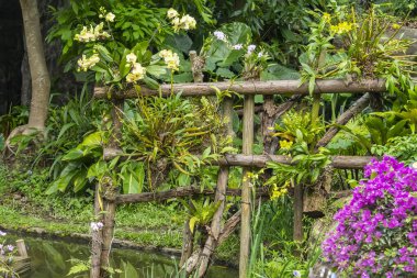 Orkide bahçesinde ahşap çitle