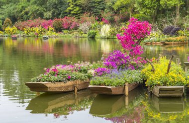 Suyun üzerinde yüzen bitkiler ve çiçeklerle dolu bir tekne.