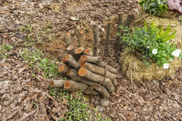Les Arbres Tombés Sont Ramassés Transportés Pour Être Transformés Bois Image En Vente