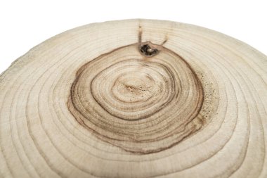 Dekorasyon için yuvarlak ahşap kaplama arka plan