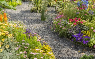 Çiçek bahçesinden geçen kayalık yollu renkli çiçekler.