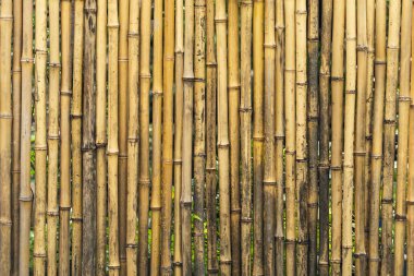 Bambudan yapılmış çitler.