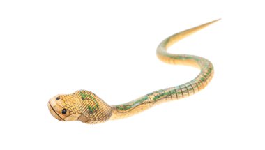 Tahta yılan Asyalı oyuncağı beyaz arka planda izole edilmiş.