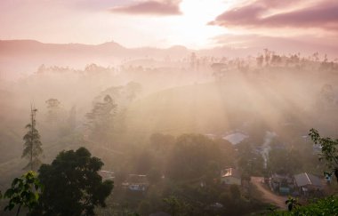 Gün batımında Sri Lanka 'da güzel doğal manzaralar
