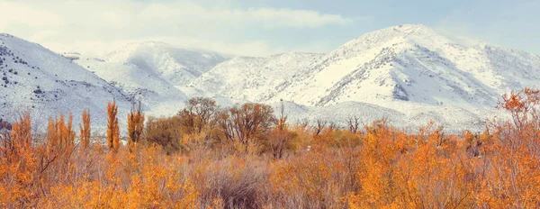 Vistas Panorámicas Sierra Nevada Otoño Follaje Paisaje California Estados Unidos — Foto de Stock