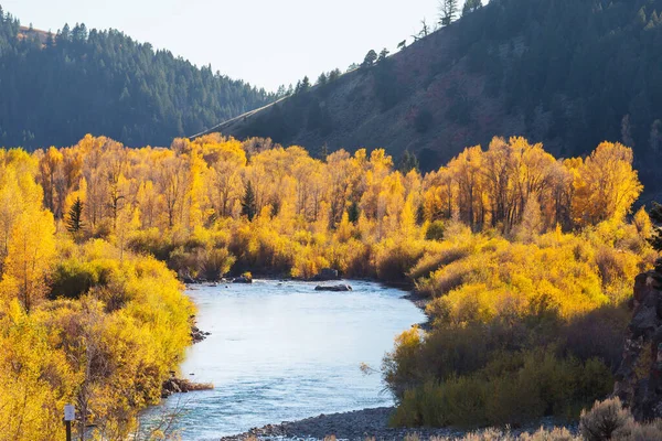 蓝色河流上的秋天 — 图库照片