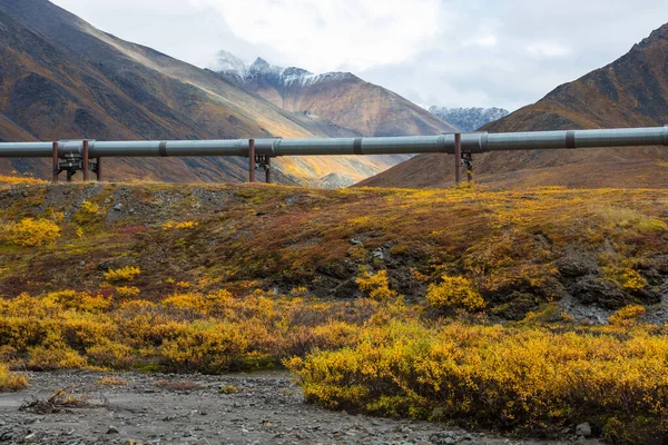 Usa Alaska Dalton Highway Pipeline Valley — Stock Photo, Image
