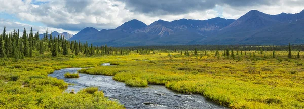 Beautiful Blue River Mountains Alaska Usa — Φωτογραφία Αρχείου