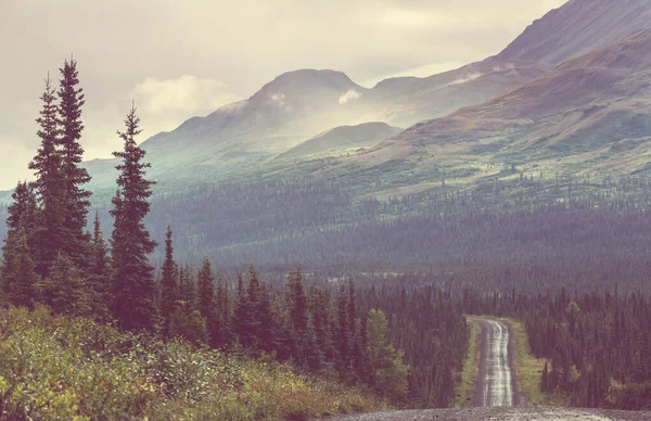 Autosnelweg Alaska Verenigde Staten — Stockfoto