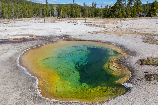 Fondo Natural Inspirador Campos Piscinas Géiseres Parque Nacional Yellowstone Estados —  Fotos de Stock