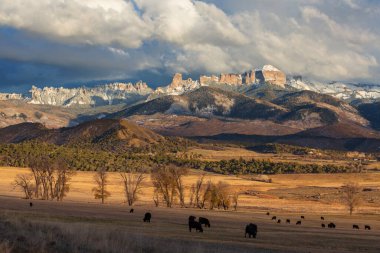 Colorado, ABD 'de soğuk sonbahar sonları. Sonbahar sezonu.