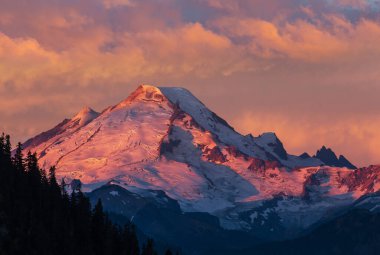 Gün doğumunda Rainier Dağı Ulusal Parkı, ABD, Washington