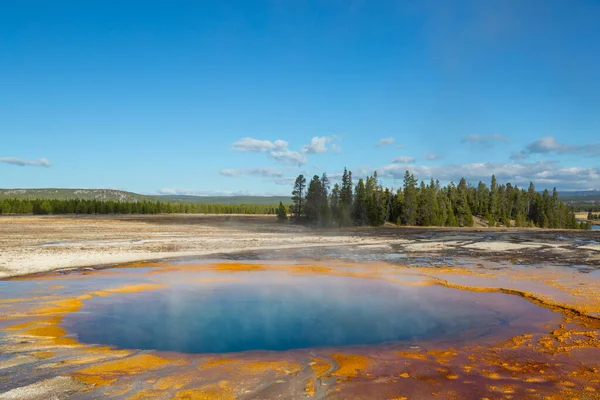 Lham Verici Doğal Bir Geçmiş Yellowstone Ulusal Parkı Ndaki Havuz — Stok fotoğraf