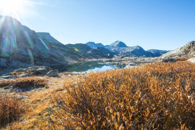 Autumn season in mountains. Colorful natural background.