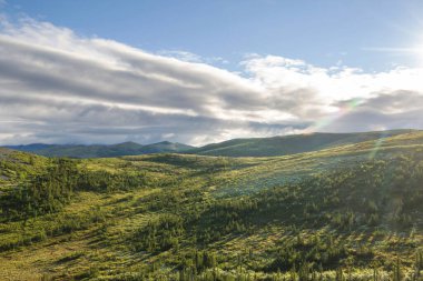 Summer green hills  in mountains  landscape beautiful summertime nature  wilderness