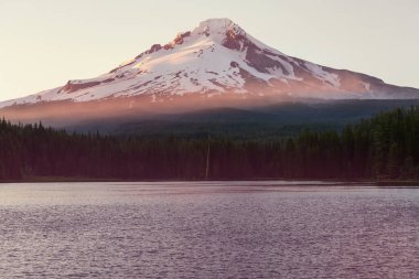 Mount. Hood reflection in Trillium lake,  Oregon, USA. Beautiful natural landscapes
