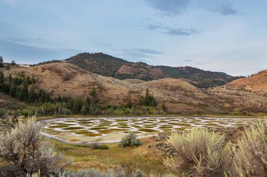 British Columbia, Kanada 'da Benekli Göl