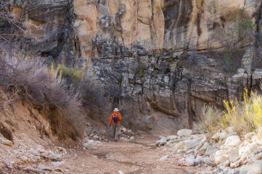 Utah dağlarında yürüyüş. Alışılmadık doğal manzaralarda yürüyüş. Fantastik kumtaşı oluşumları.