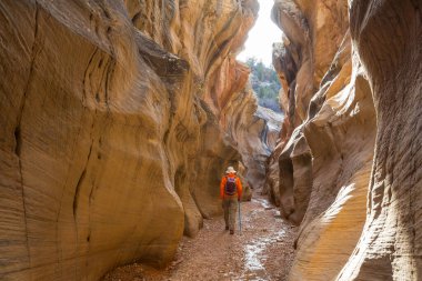 Utah, ABD 'deki Grand Staircase Escalante Ulusal Parkı' ndaki Slot Kanyonu. Utah çöllerinde alışılmadık renkli kumtaşı oluşumları yürüyüşçüler için popülerdir..