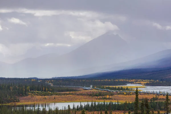 Usa Aljaška Dalton Highway Potrubí Údolí — Stock fotografie