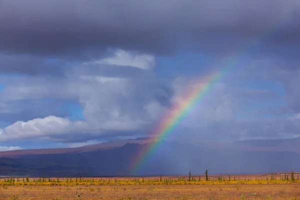 Strahlend Bunter Natürlicher Regenbogen Über Dem Alaska Highway Gut Für — Stockfoto