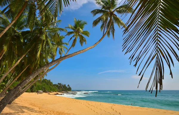 热带海滩上美丽的夏季风景 度假背景 — 图库照片