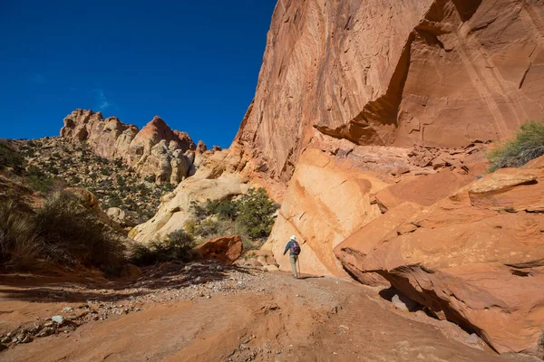 Caminata Las Montañas Utah Senderismo Paisajes Naturales Inusuales Formas Fantásticas — Foto de Stock