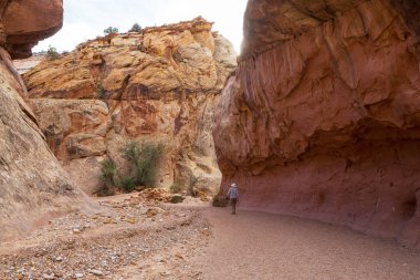 Utah dağlarında yürüyüş. Alışılmadık doğal manzaralarda yürüyüş. Fantastik kumtaşı oluşumları.