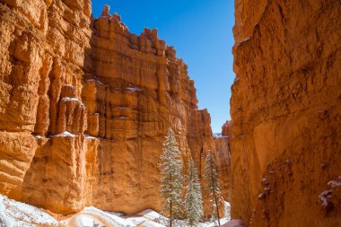 Kış mevsiminde Bryce Canyon Ulusal Parkı 'nın renkli pembe kayaları Utah, ABD