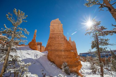 Kış mevsiminde Bryce Canyon Ulusal Parkı 'nın renkli pembe kayaları Utah, ABD