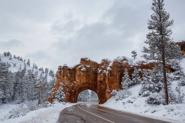 Utah, ABD 'de sonbahar sezonunun sonlarında kırsal yol