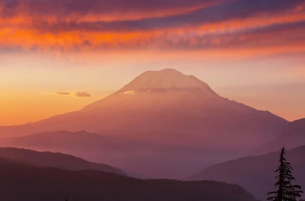 Όρος Rainier Εθνικό Πάρκο Κατά Την Ανατολή Του Ηλίου Ηπα — Φωτογραφία Αρχείου