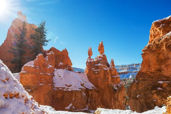 Viehättävä Värikäs Vaaleanpunainen Kiviä Bryce Canyon Kansallispuisto Talvikaudella Utah Usa — kuvapankkivalokuva