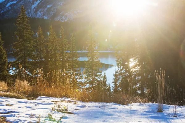 冬季宁静湖 美国加利福尼亚州内华达山脉 — 图库照片