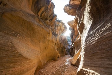 Utah, ABD 'deki Grand Staircase Escalante Ulusal Parkı' ndaki Slot Kanyonu. Utah çöllerinde alışılmadık renkli kumtaşı oluşumları yürüyüşçüler için popülerdir..