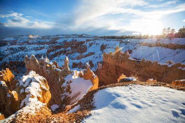 Kış mevsiminde Bryce Canyon Ulusal Parkı 'nın renkli pembe kayaları Utah, ABD