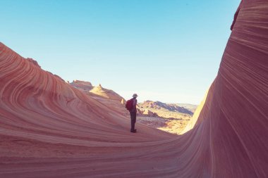 The Wave, Arizona, Vermillion Cliffs, Paria Canyon State Park, ABD. İnanılmaz doğal bir geçmiş.