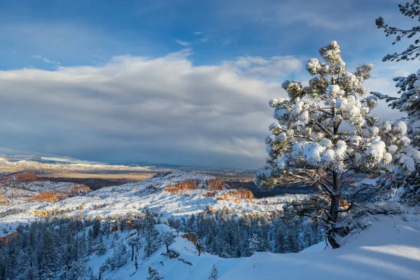 Malerisch Bunte Rosa Felsen Des Bryce Canyon Nationalparks Der Wintersaison — Stockfoto