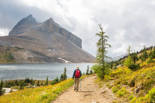 Caminhando Homem Nas Montanhas Canadenses Caminhada Atividade Recreação Popular América — Fotografia de Stock